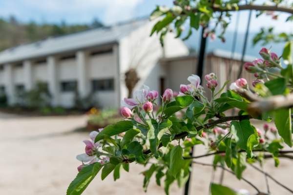 Hotel La Dolce Mela Agriturismo (Vezzano)